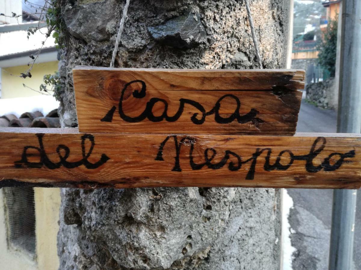 Casa Del Nespolo Bed & Breakfast Pilzone Eksteriør bilde